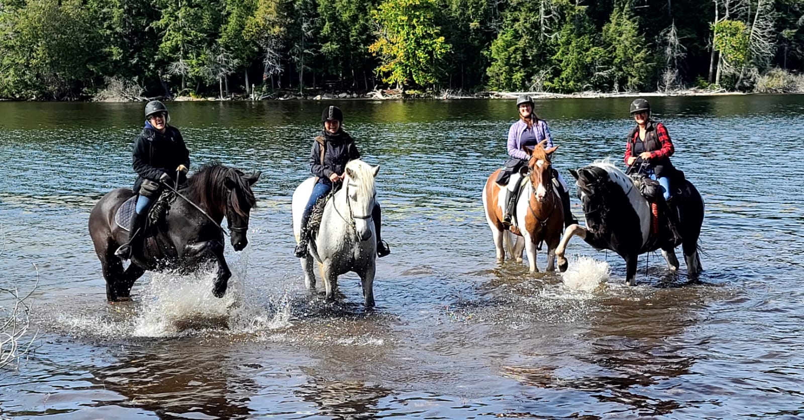 Trail Rides South Algonquin Equestrian Trails